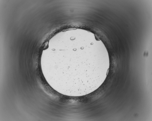 X0000112490496200909281136