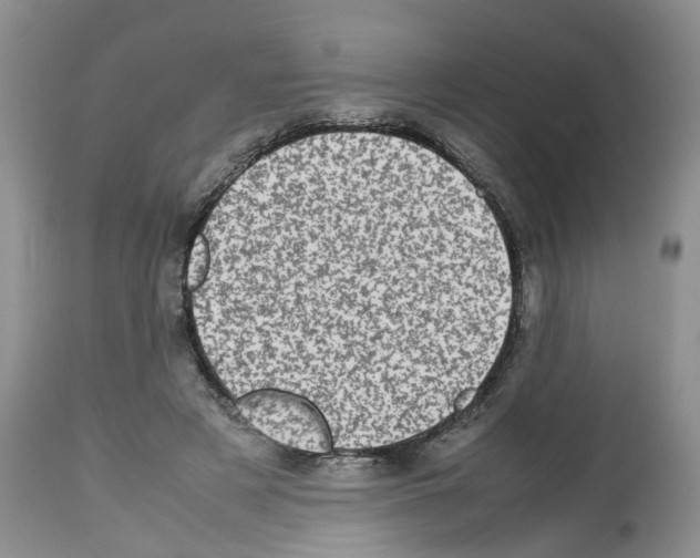 X0000112490497200909281136
