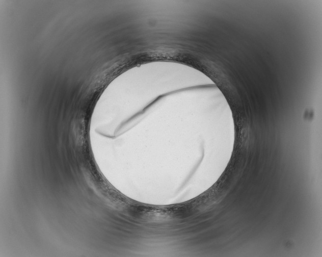 X0000112490498200909281136