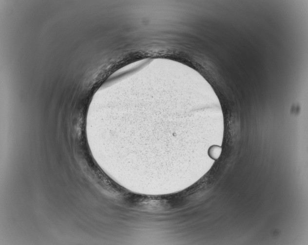 X0000112490499200909281136