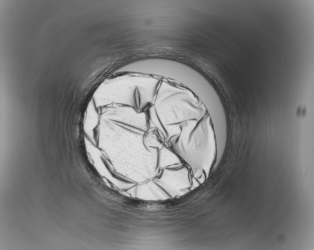 X0000112490501200909281136