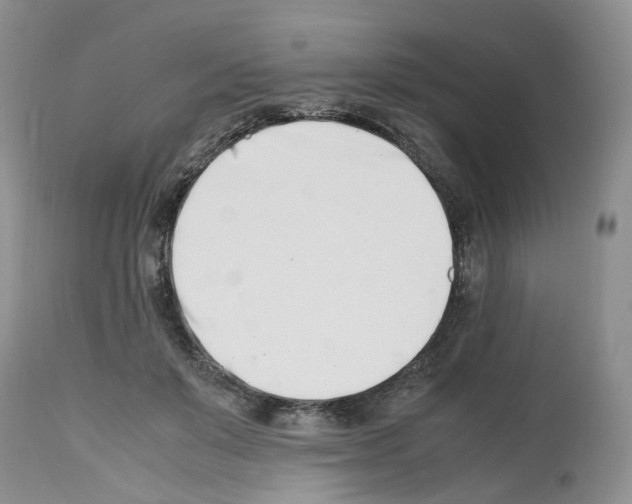 X0000112490503200909281136