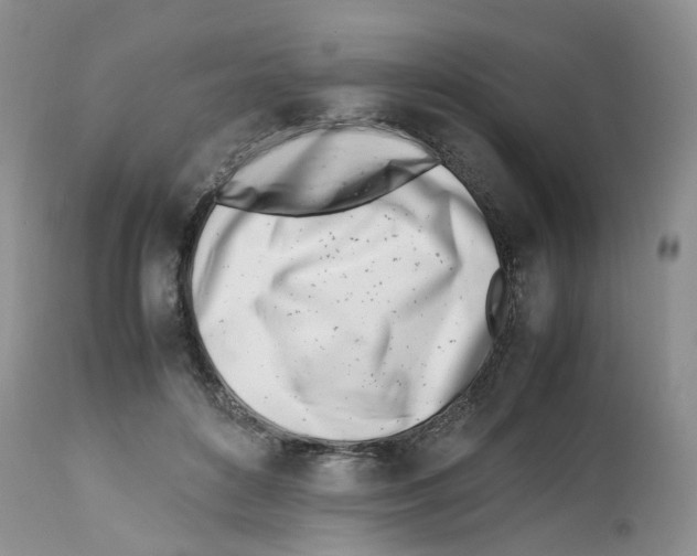 X0000112490504200909281136