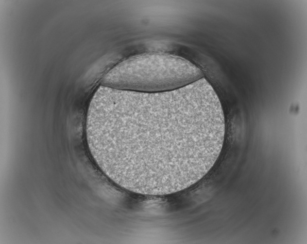 X0000112490505200909281136