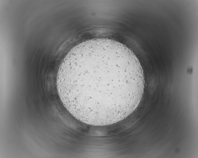 X0000112490506200909281136