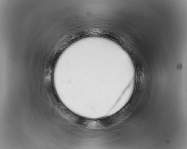 X0000112490507200909281136