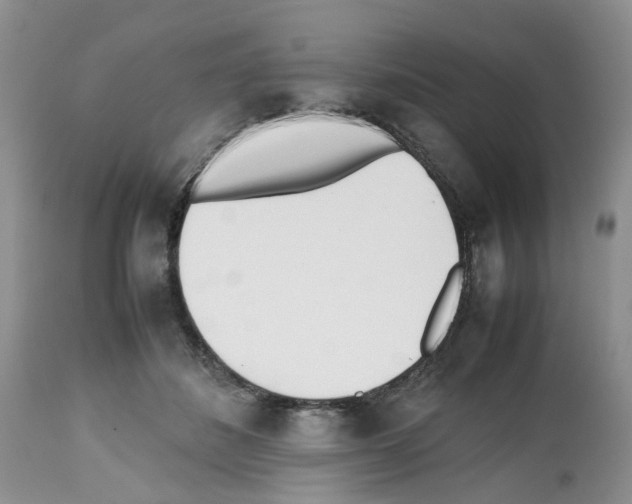 X0000112490508200909281136