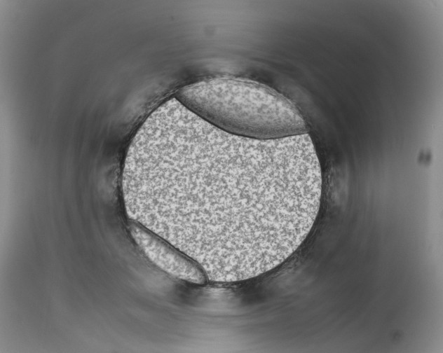 X0000112490509200909281136