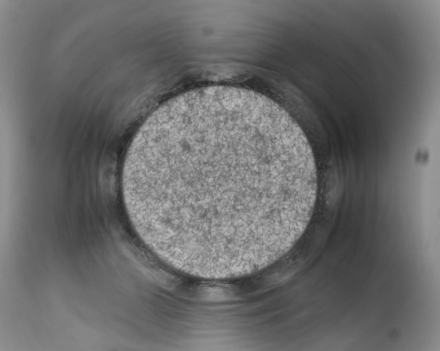 X0000112490510200909281136