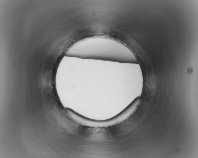 X0000112490512200909281136