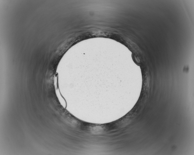 X0000112490513200909281136