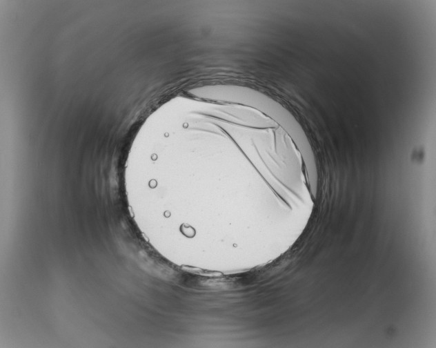 X0000112490516200909281136