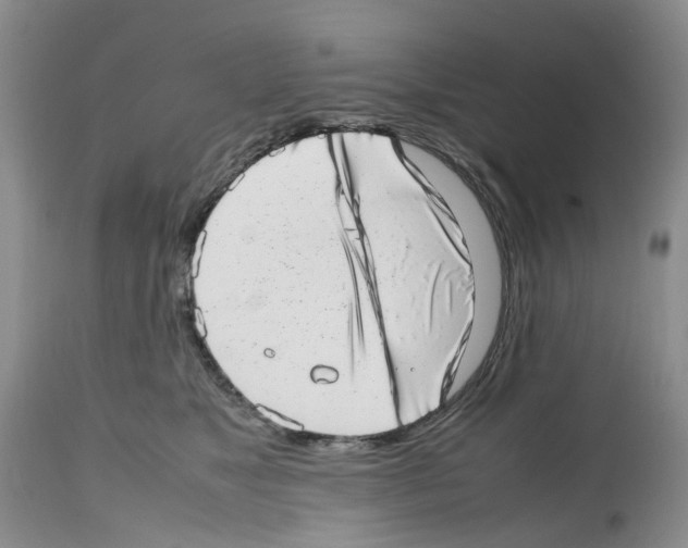 X0000112490517200909281136