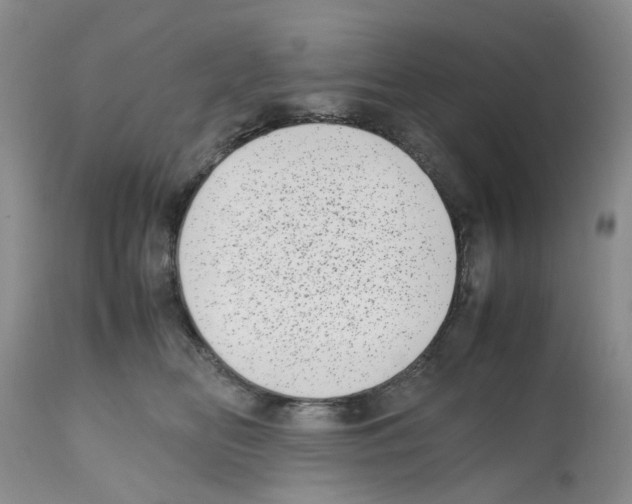 X0000112490518200909281136