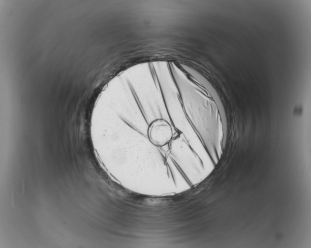 X0000112490520200909281136