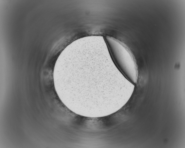 X0000112490521200909281136