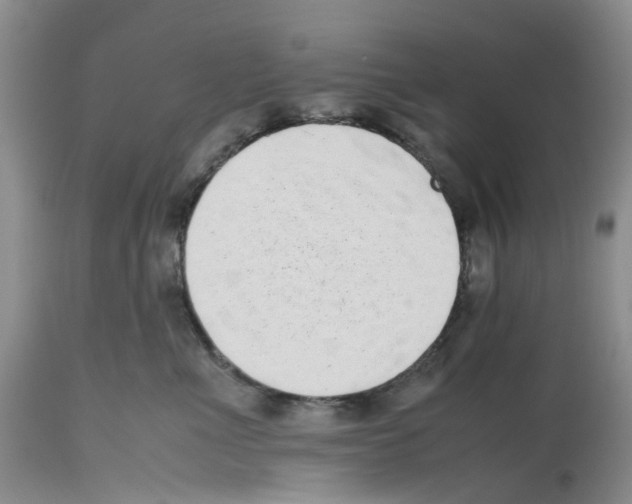X0000112490523200909281136