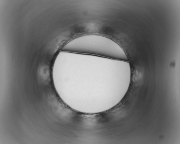 X0000112490524200909281136