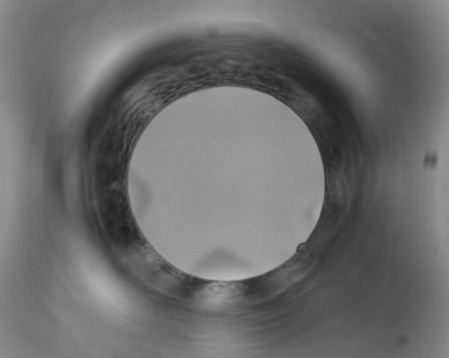 X0000112490526200909281136