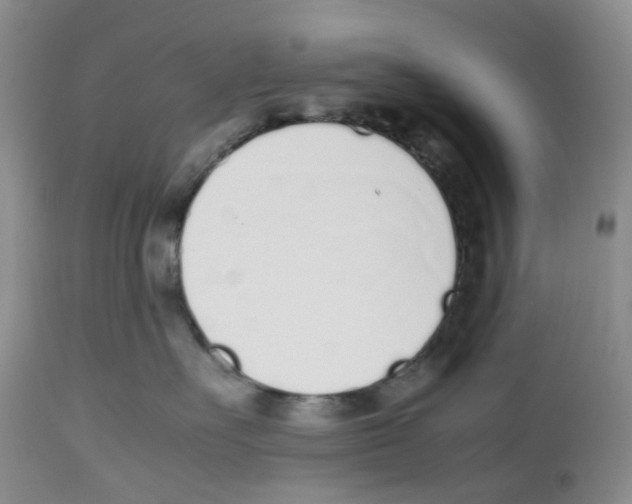X0000112490527200909281136