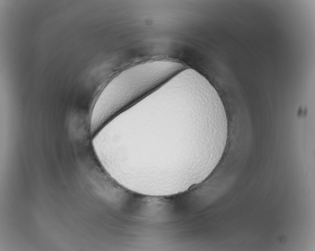 X0000112490528200909281136