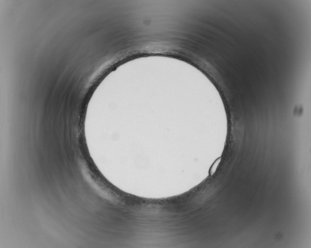 X0000112490530200909281135