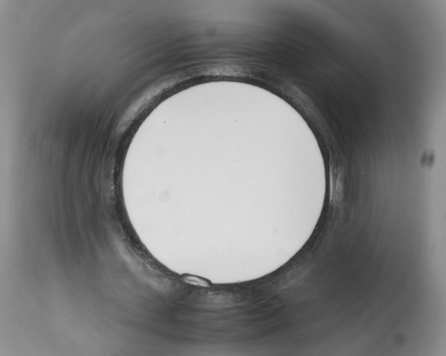 X0000112490531200909281135
