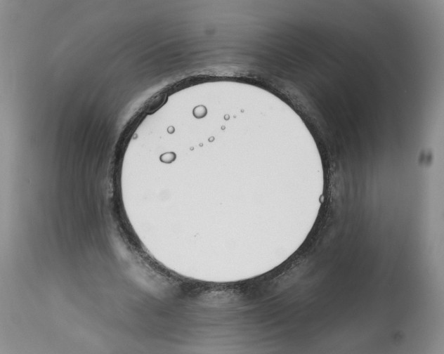X0000112490536200909281135