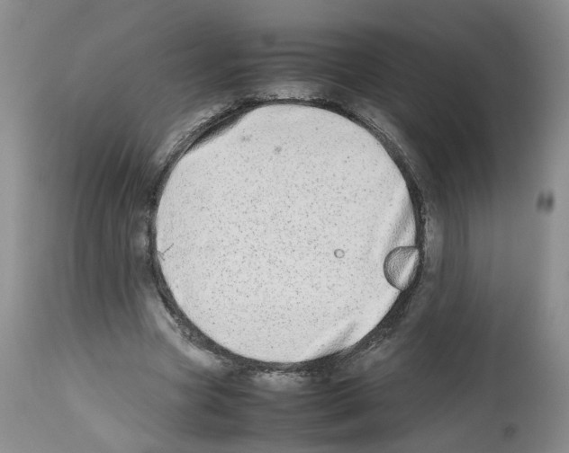 X0000112490537200909281135