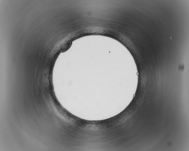 X0000112490538200909281135