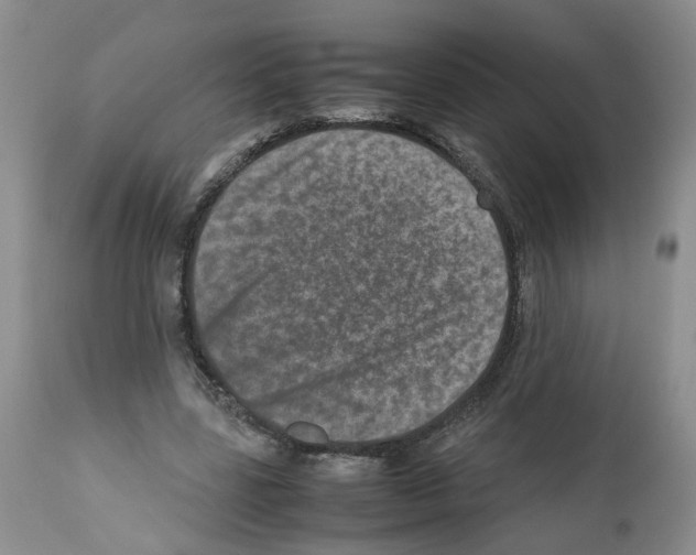 X0000112490539200909281135