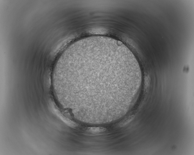X0000112490541200909281135