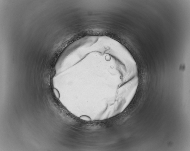 X0000112490545200909281135