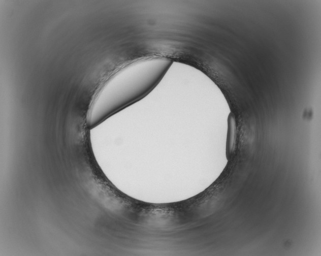 X0000112490546200909281135