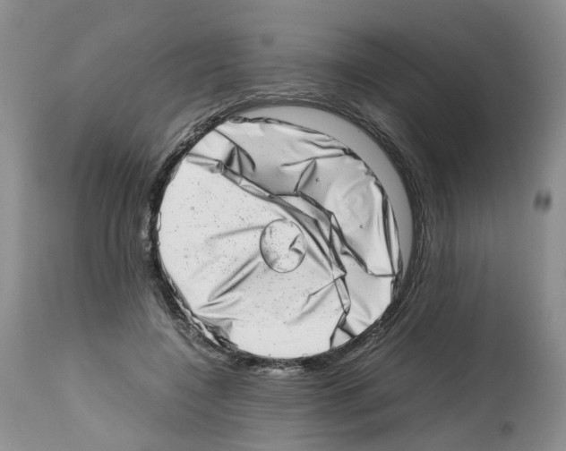 X0000112490548200909281135