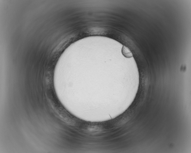 X0000112490549200909281135