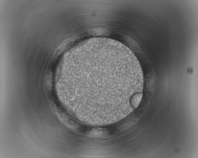 X0000112490550200909281135