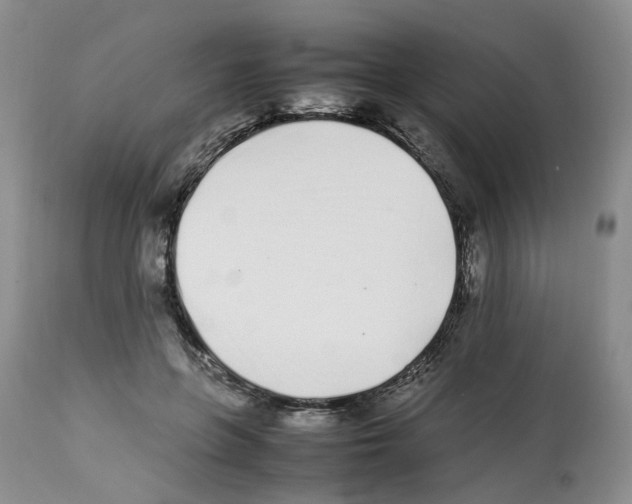 X0000112490551200909281135