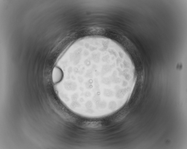 X0000112490553200909281135