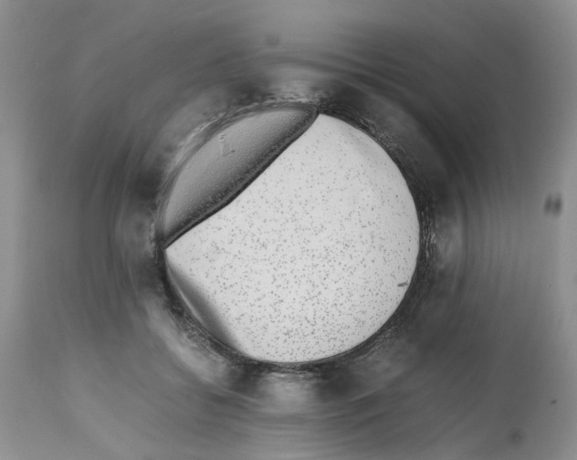 X0000112490556200909281135