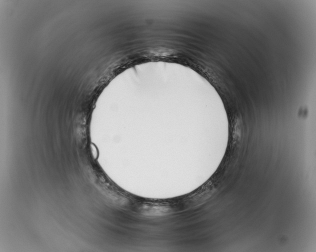 X0000112490559200909281135
