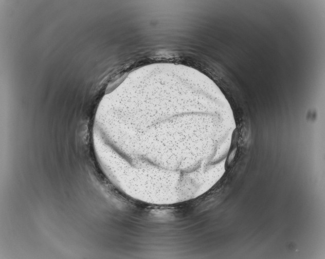 X0000112490560200909281135