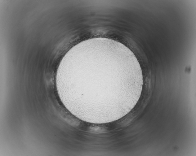 X0000112490561200909281136