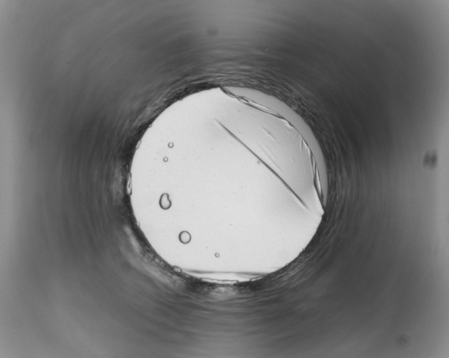 X0000112490562200909281136