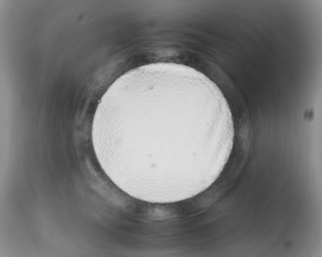 X0000112490565200909281136