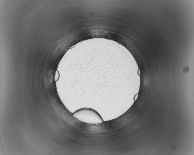 X0000112490567200909281136