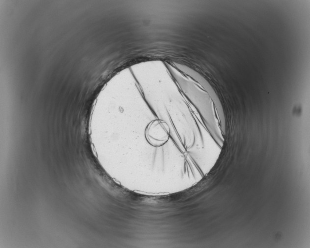X0000112490568200909281136