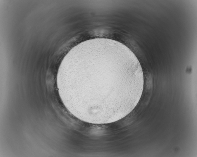 X0000112490569200909281136