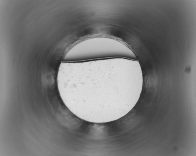 X0000112490570200909281136