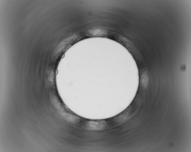 X0000112490571200909281136